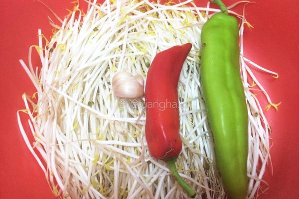 素炒绿豆芽的做法图解1