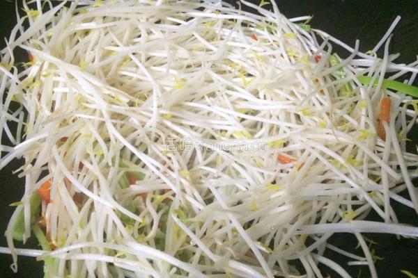 素炒绿豆芽的做法图解4