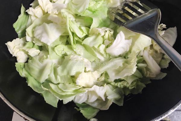 蚝油手撕卷心菜的做法图解2