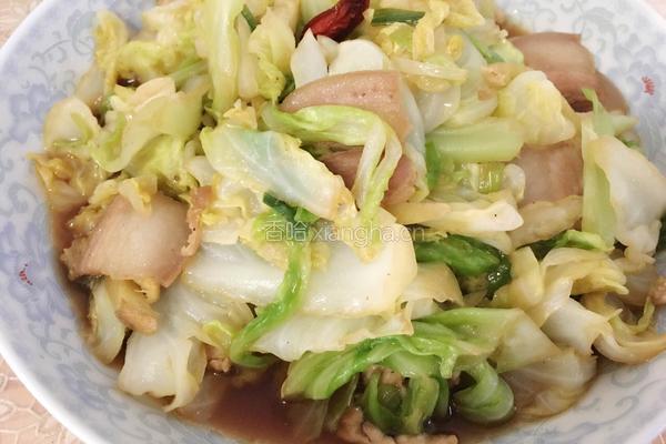 蚝油手撕卷心菜的做法图解8