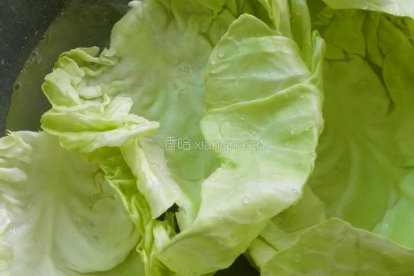 翡翠卷心菜包肉的做法图解11