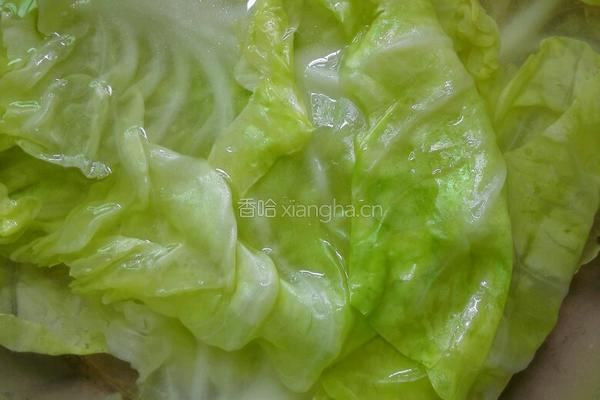 翡翠卷心菜包肉的做法图解14
