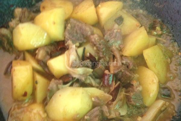 土豆烧牛腩的做法图解11
