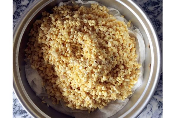 香甜绿豆糕的做法图解2