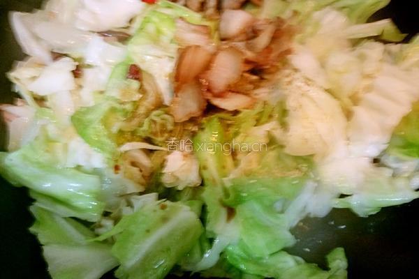 卷心菜炒肉的做法图解8