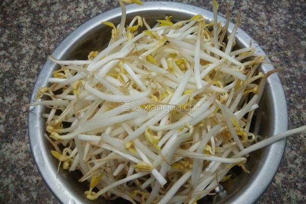 凉拌红油绿豆芽的做法图解1