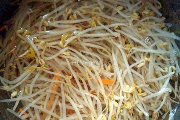 凉拌红油绿豆芽的做法图解5