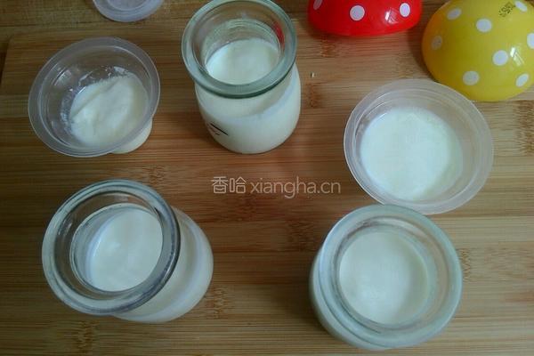 西瓜酸奶布丁的做法图解2