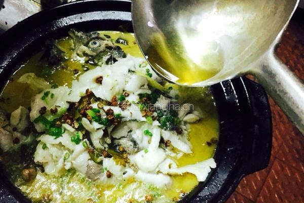 老坛酸菜片片鱼的做法图解16