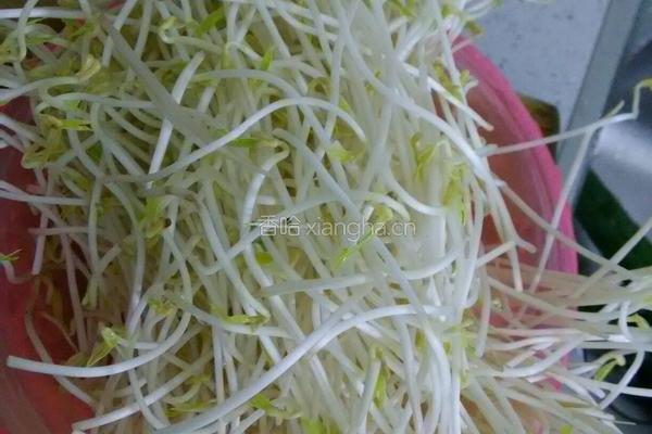 剁辣椒炒绿豆芽的做法图解1