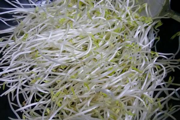剁辣椒炒绿豆芽的做法图解4