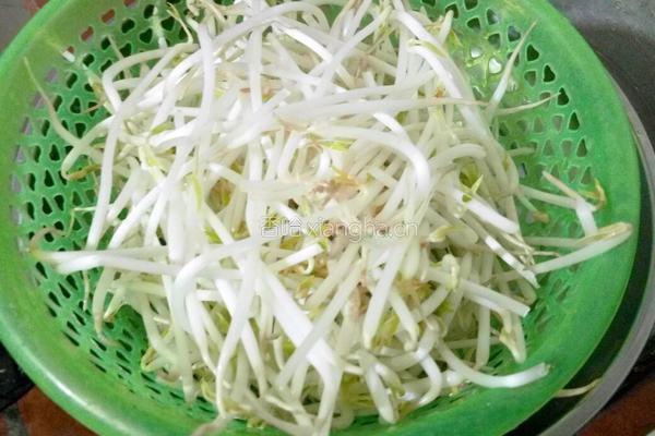 清炒绿豆芽的做法图解1