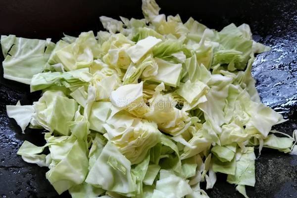 五花肉炒卷心菜的做法图解8