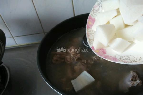 白萝卜炖排骨的做法图解3