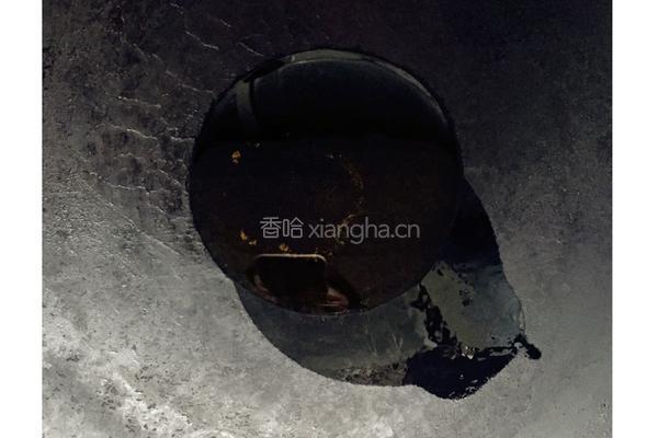 多彩蛋炒饭的做法图解4