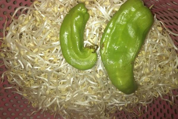 酸辣绿豆芽的做法图解1
