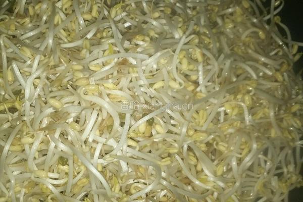 酸辣绿豆芽的做法图解5