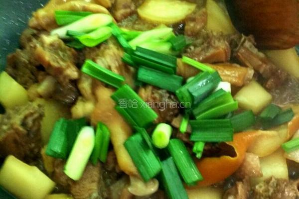 白萝卜炖鸭肉的做法图解9