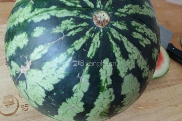 鲨口逃生的做法图解3