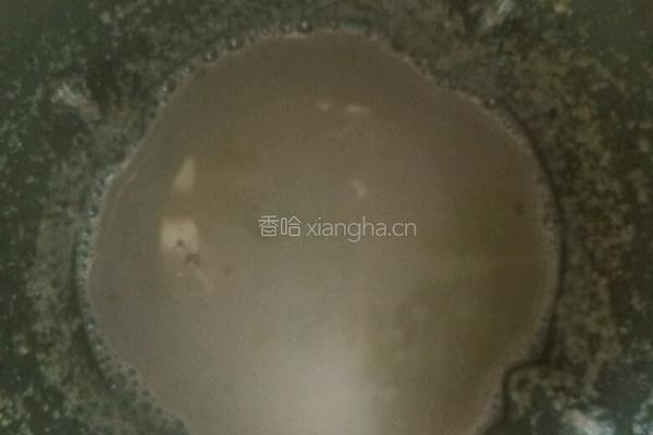 黑豆豆浆的做法图解7