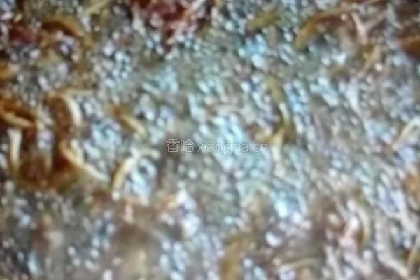 鸡枞油的做法图解3