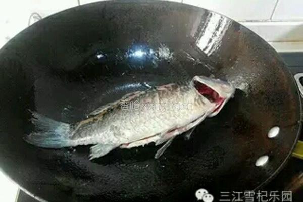 枸杞鲫鱼豆腐汤的做法图解1