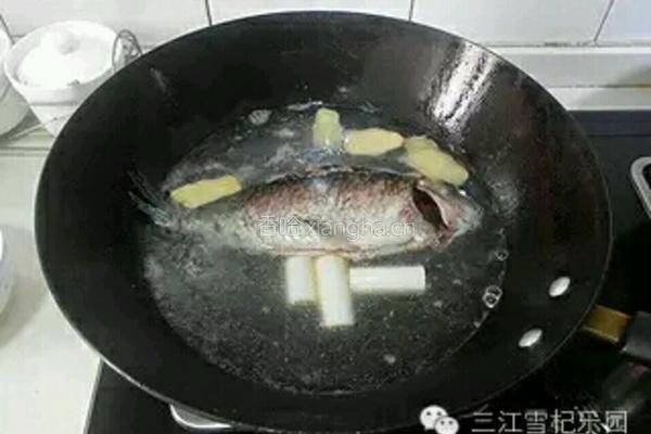 枸杞鲫鱼豆腐汤的做法图解3