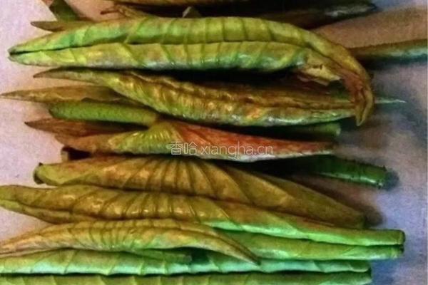 香煎嫩荷叶卷肉的做法图解1