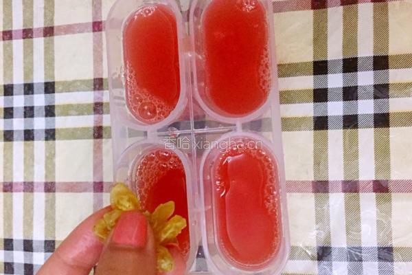 西瓜葡萄干冰棍的做法图解6