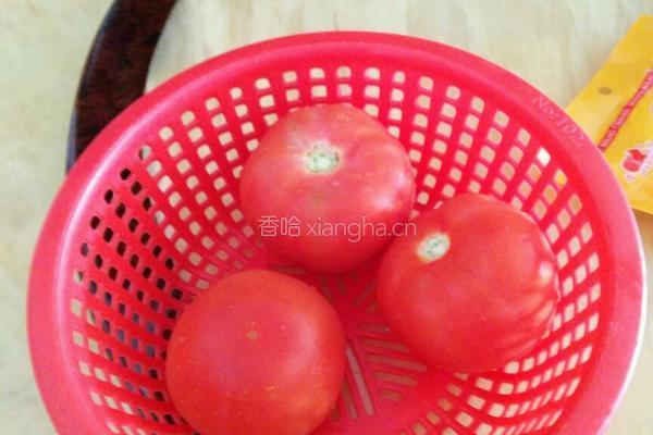 芝士番茄的做法图解9