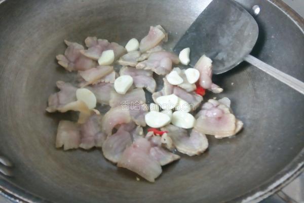 咸肉干锅卷心菜的做法图解6