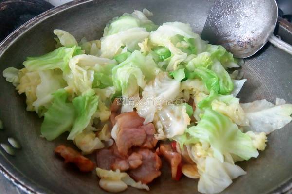 咸肉干锅卷心菜的做法图解8