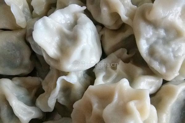 鸡脯肉水饺的做法图解6