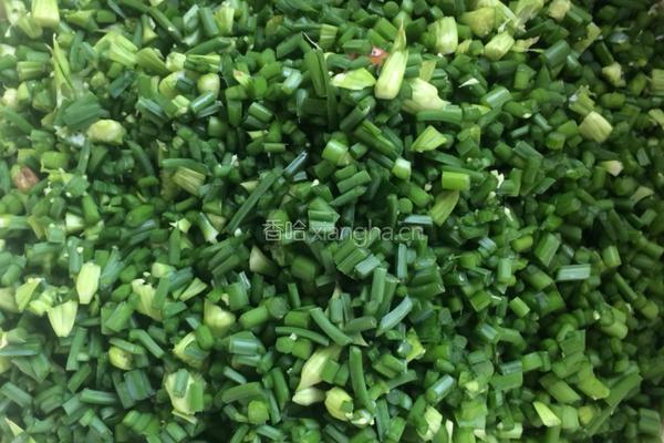 韭菜苔虾仁饺子的做法图解2