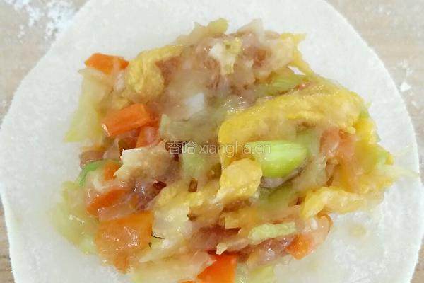 卷心菜胡萝卜猪肉水饺的做法图解10