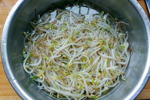 凉拌绿豆芽的做法图解3