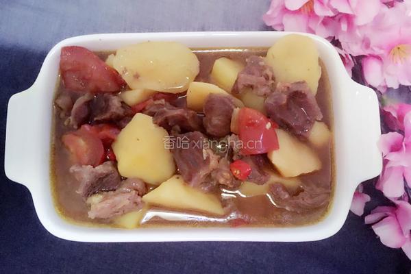 咖喱土豆牛腩汤的做法图解6