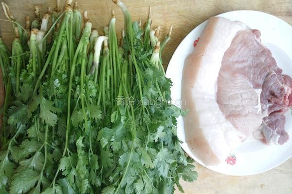香菜肉饼的做法图解2