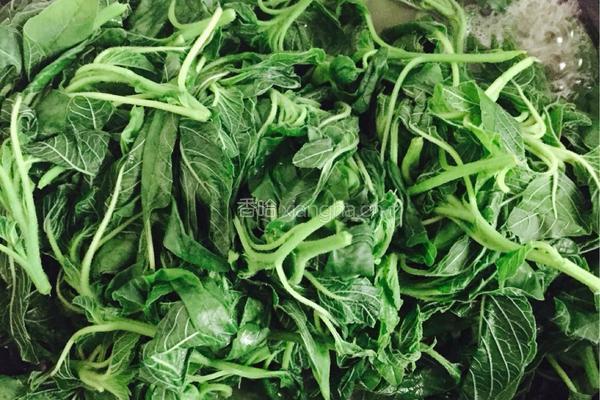 虾米野菜盒子的做法图解1