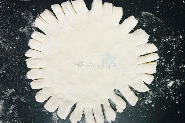 虾米野菜盒子的做法图解9