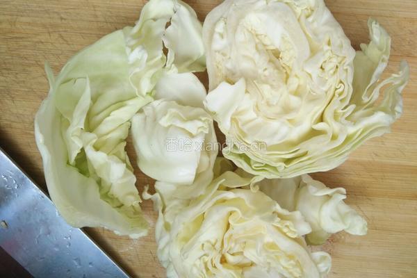 卷心菜辣肉饺子的做法图解4