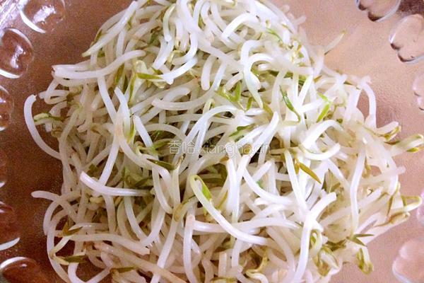 凉拌绿豆芽的做法图解4