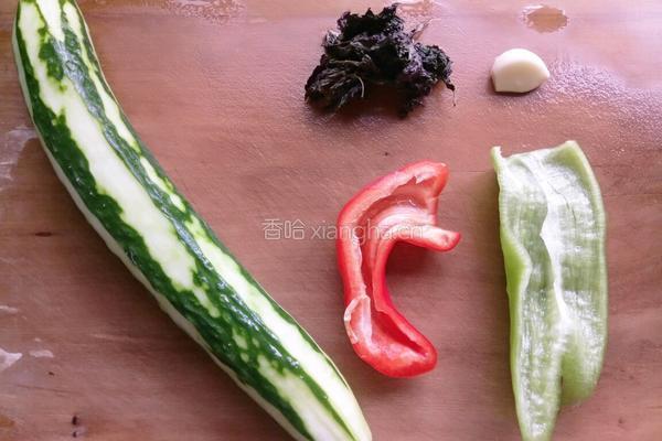 紫苏煎黄瓜的做法图解1