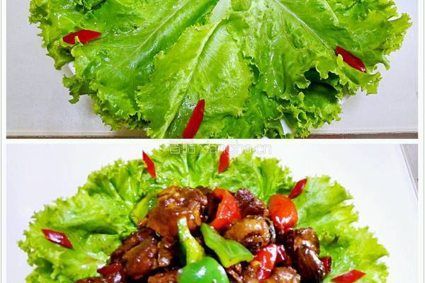 啤酒鸭的做法图解5