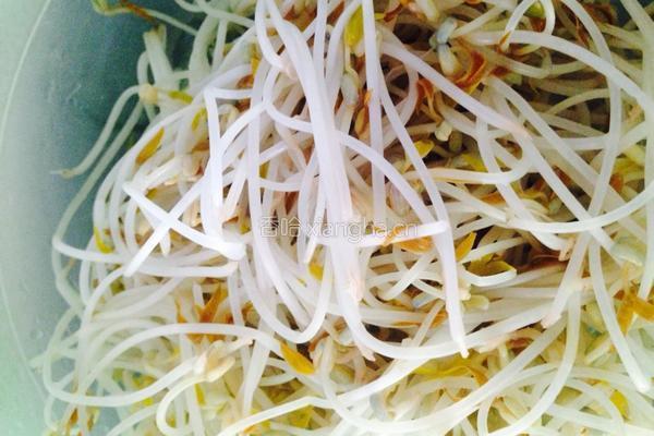 绿豆芽拌三丝的做法图解4