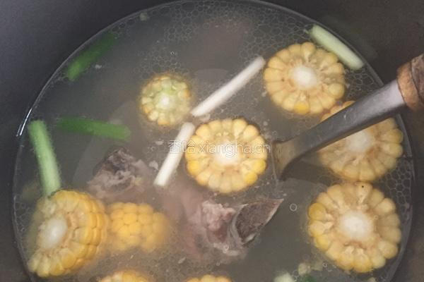 玉米排骨汤的做法图解3
