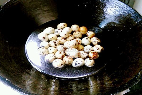 绿豆芽孵鹌鹑蛋的做法图解2
