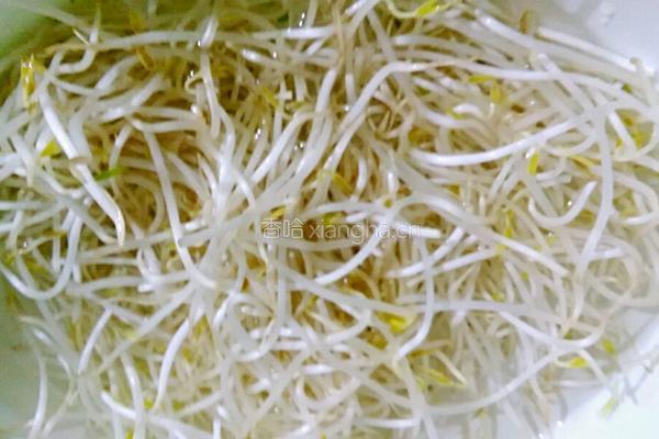 酸辣绿豆芽的做法图解1