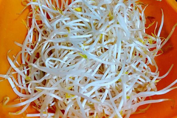 酸辣绿豆芽的做法图解2