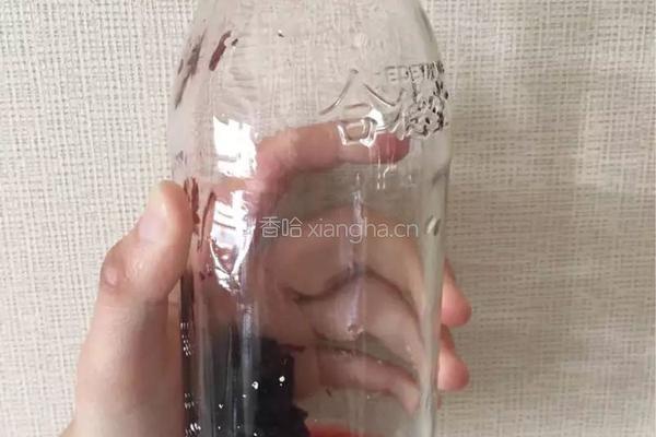 玫瑰绿茶的做法图解1